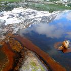 im Pucherseeli , Maderanertal