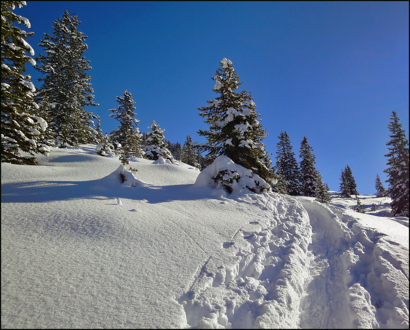 Im Pulverschnee unterwegs