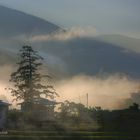 im Punakha-Tal #01