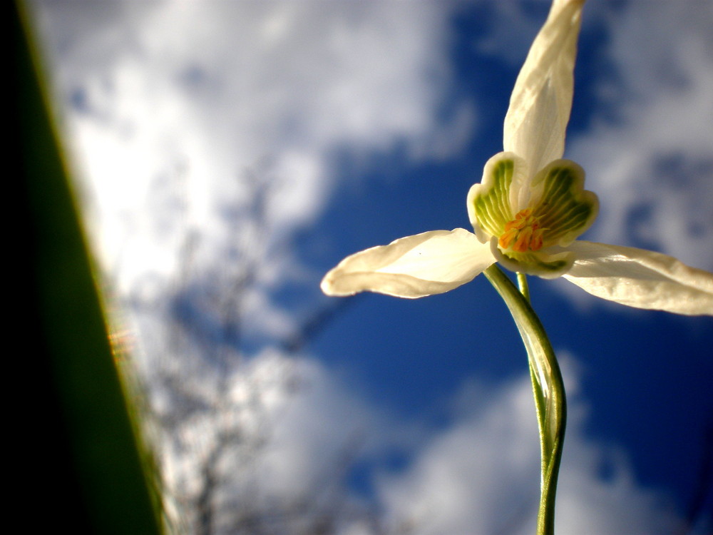 im puren Sonnenschein