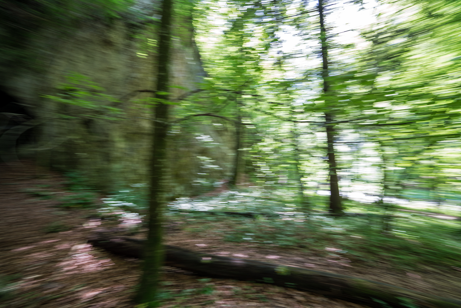 Im Raabklamm Rausch