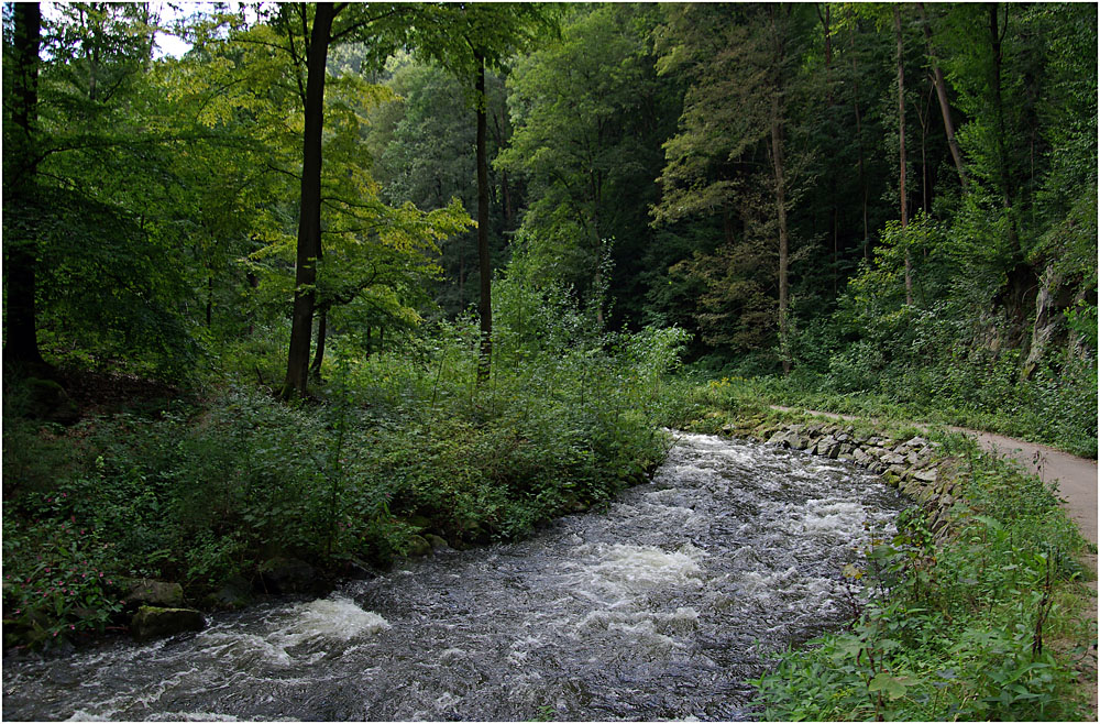 Im Rabenauer Grund