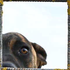 Im Rahmen dessen......