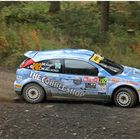 Im Rallye-Focus