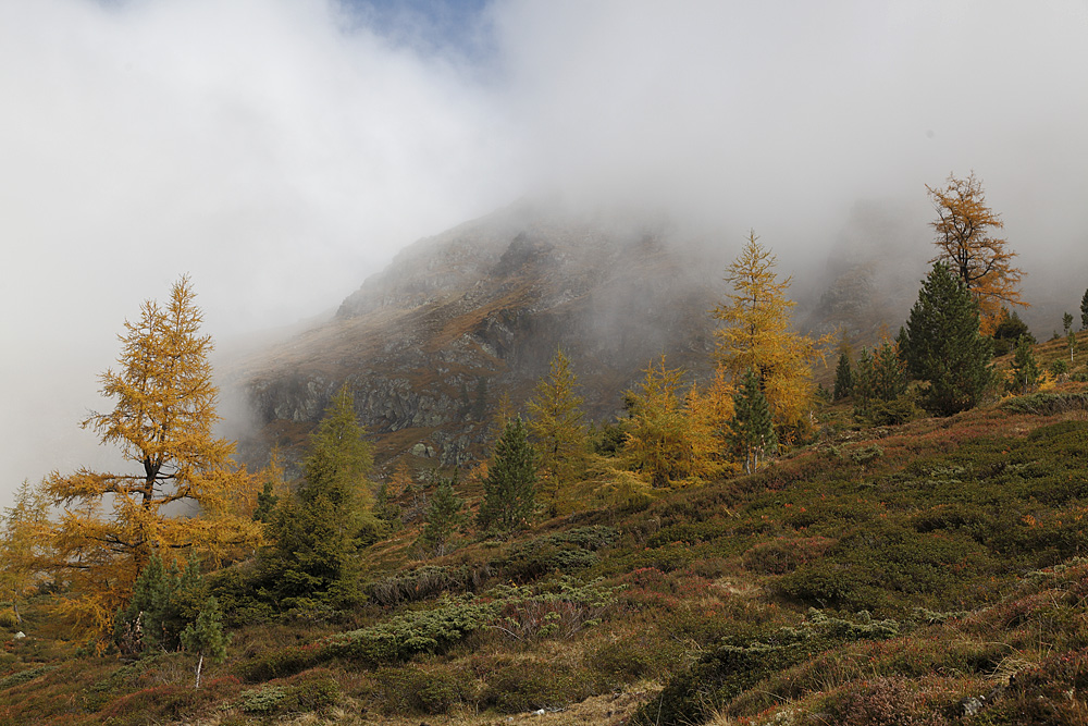 Im Rantental, Steiermark