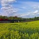  Bahn & Landschaft