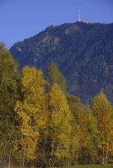 Im Rauhenzeller Moor mit Blick zum Grünten