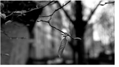 im Raum
