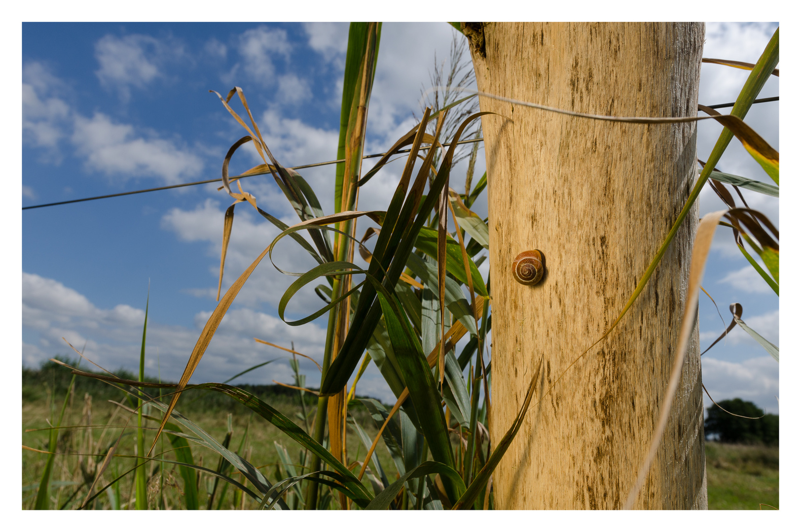 Im Raum - am Baum