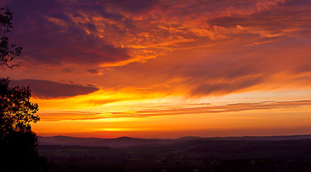 Im Rausch der Farben von Waldemar Moll 