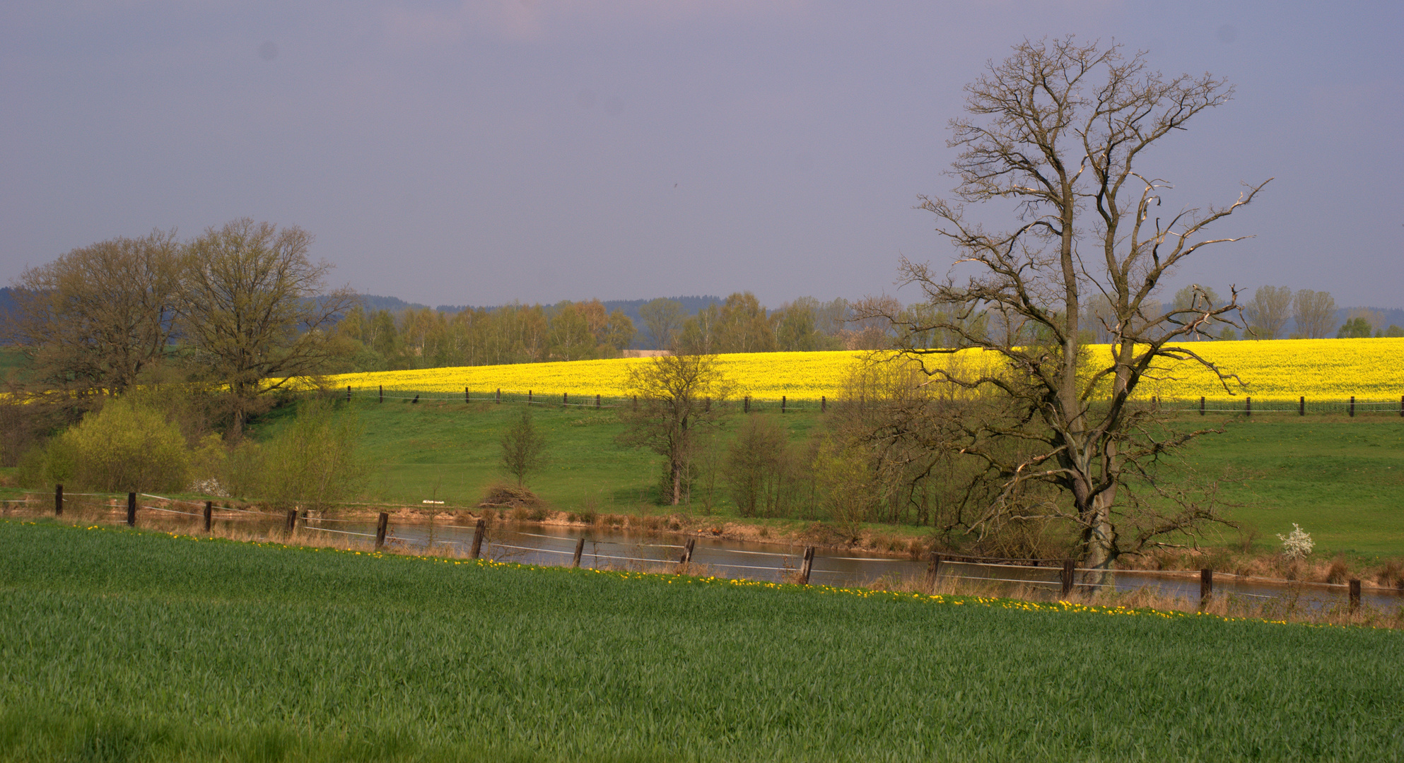 Im Rausch der Farben -April - Blütten, Duft!