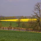 Im Rausch der Farben -April - Blütten, Duft!