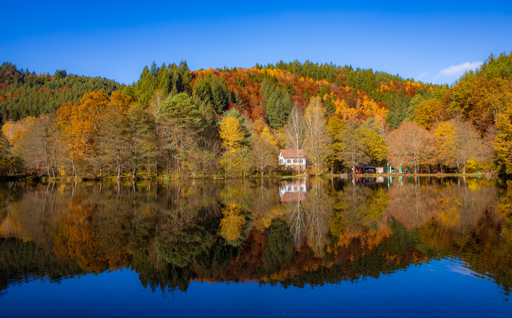 Im Rausch der Herbstfarben 