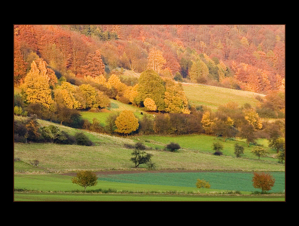 ...im Rausch der Herbstfarben...  - oder: ...ein letzter Blick zurück...