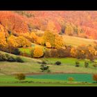 ...im Rausch der Herbstfarben...  - oder: ...ein letzter Blick zurück...