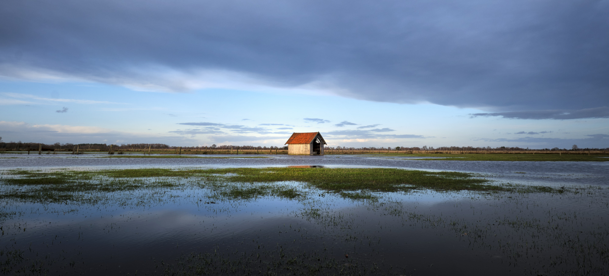 Im Recker Moor