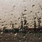 Im Regen (1)