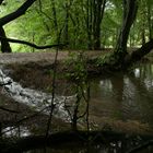 Im Regen am Weiher