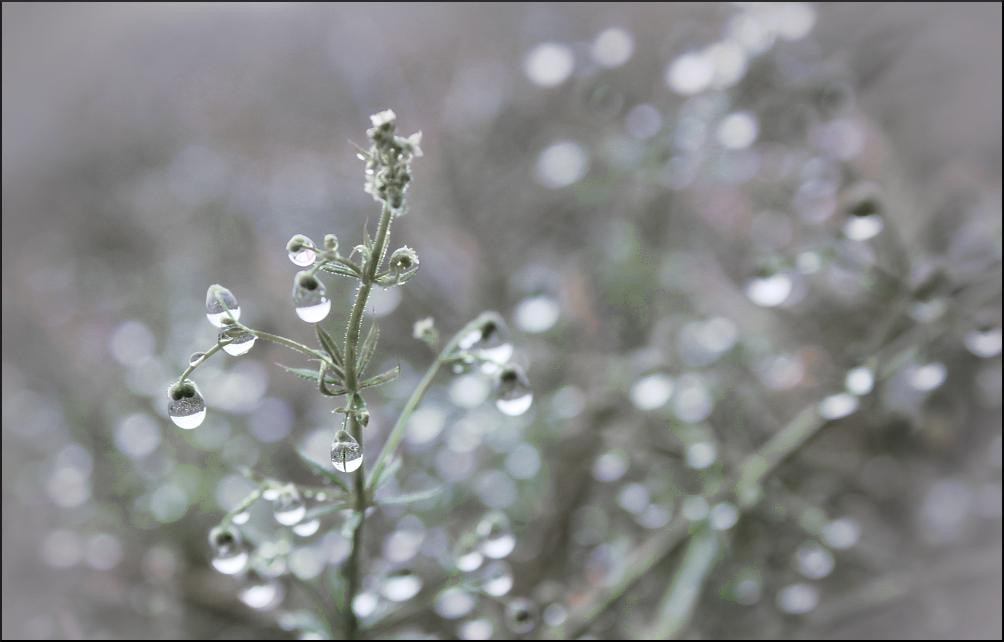 im Regen geschrieben