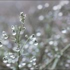 im Regen geschrieben