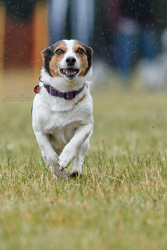 Im Regen rennen