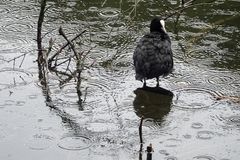 im Regen stehengelassen ...