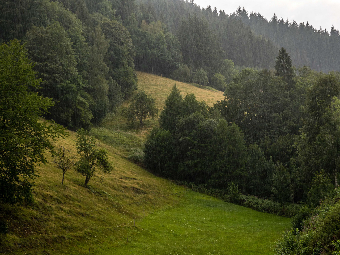 Im Regenschauer