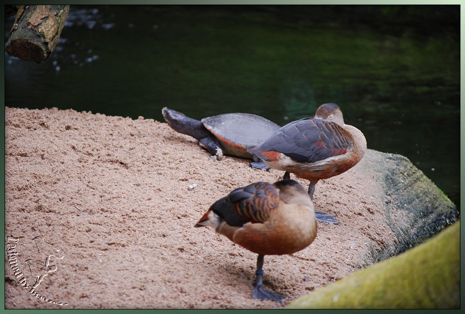 Im Regenwald - Das Tropenhaus im Kölner Zoo