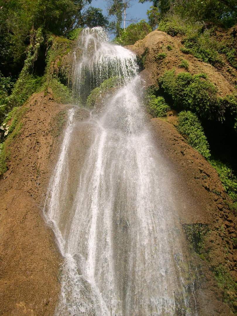 im Regenwald von Kuba