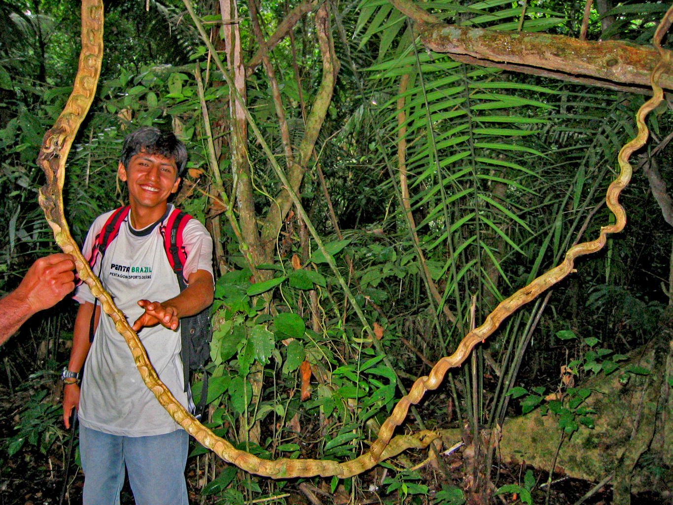 Im Regenwald von Peru