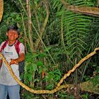 Im Regenwald von Peru