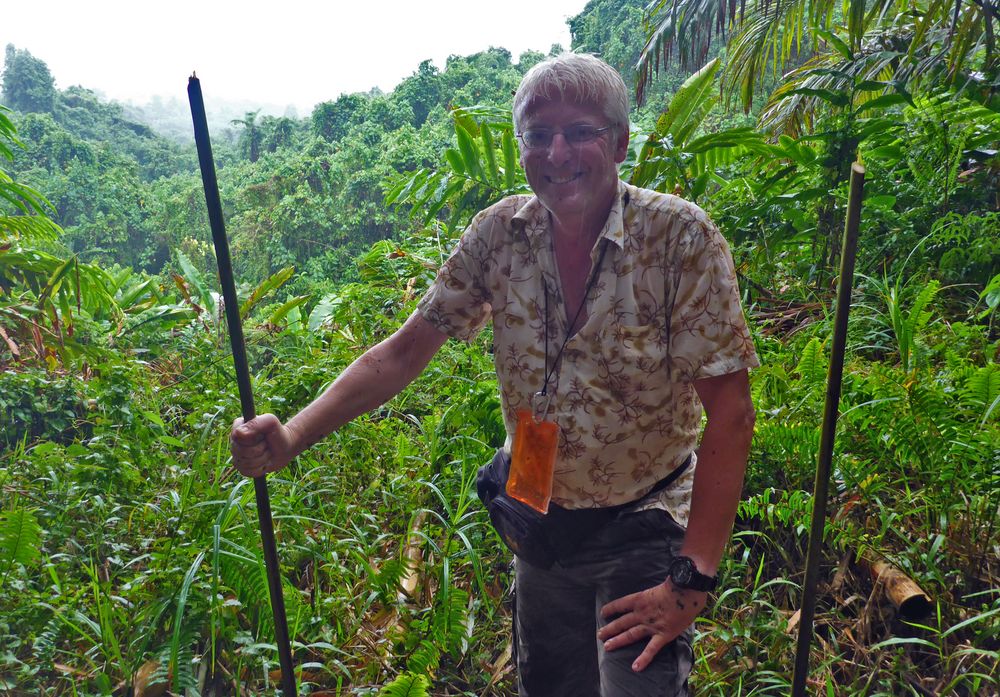 Im Regenwald von Vanuatu