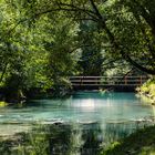 Im regionalen Naturpark Pfyn - Finges