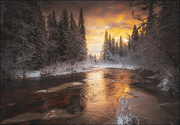 Im Reich der Elche ...