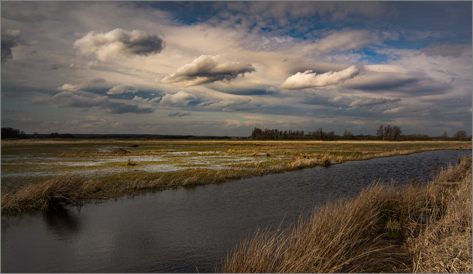 Im Reich der Limicolen und Amphibien   . . .