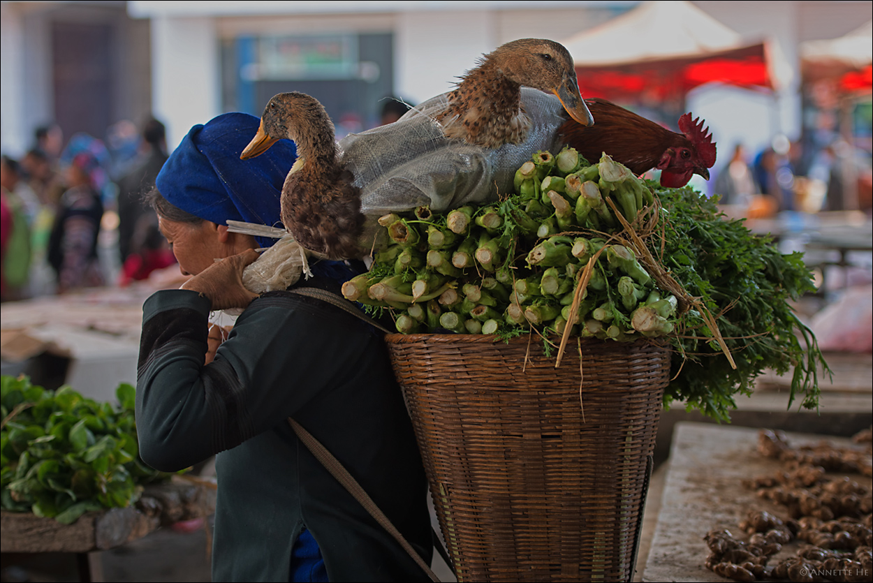 Im Reich der Mitte [5] - Markttag