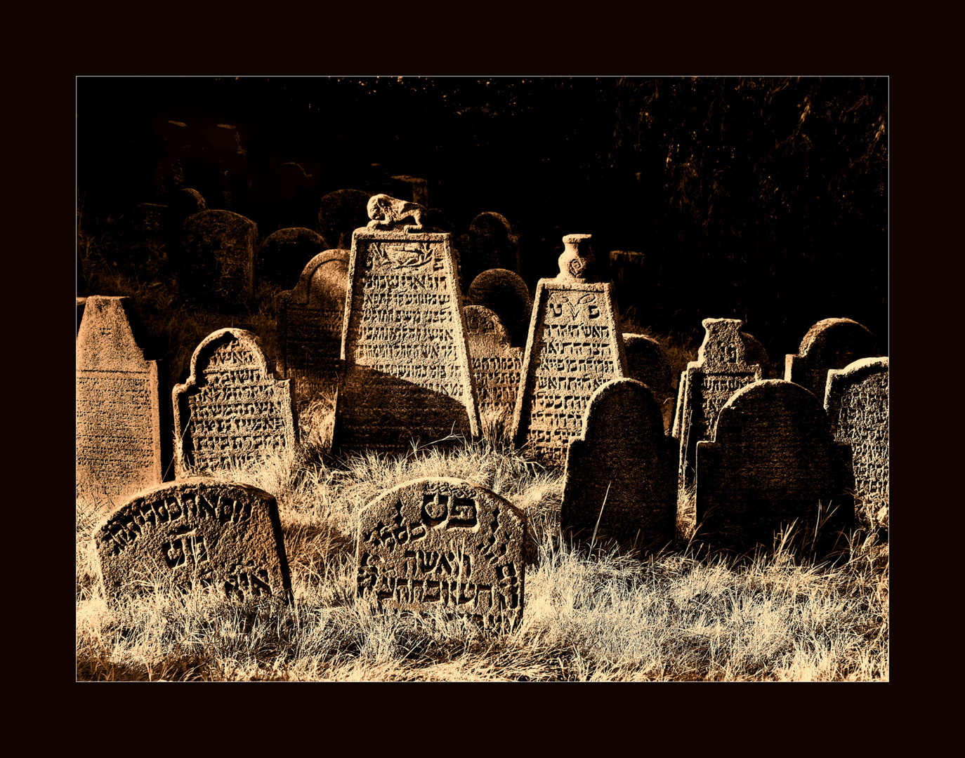 Im Reich der Schatten ( Jüdischer Friedhof Floss / Nordbayern )