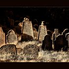 Im Reich der Schatten ( Jüdischer Friedhof Floss / Nordbayern )