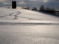 Im Reich der Schneekönigin