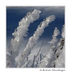 Im Reich der Schneekönigin