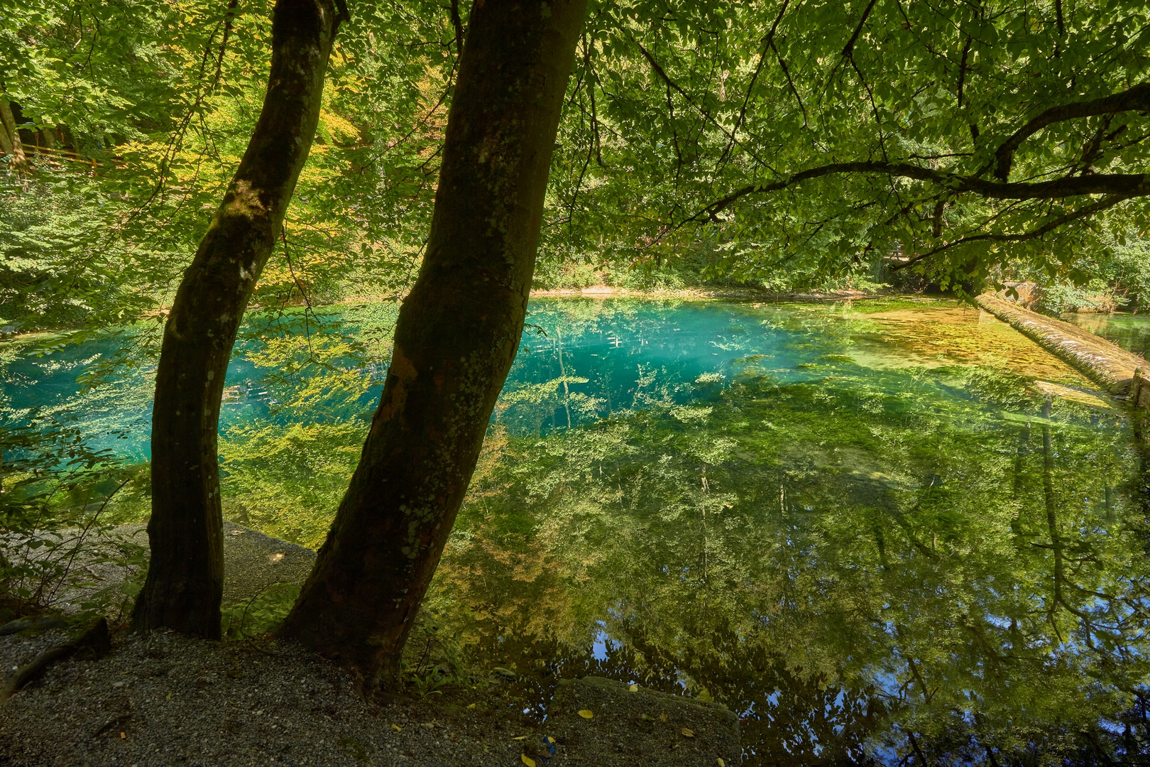 Im Reich der schönen Lau