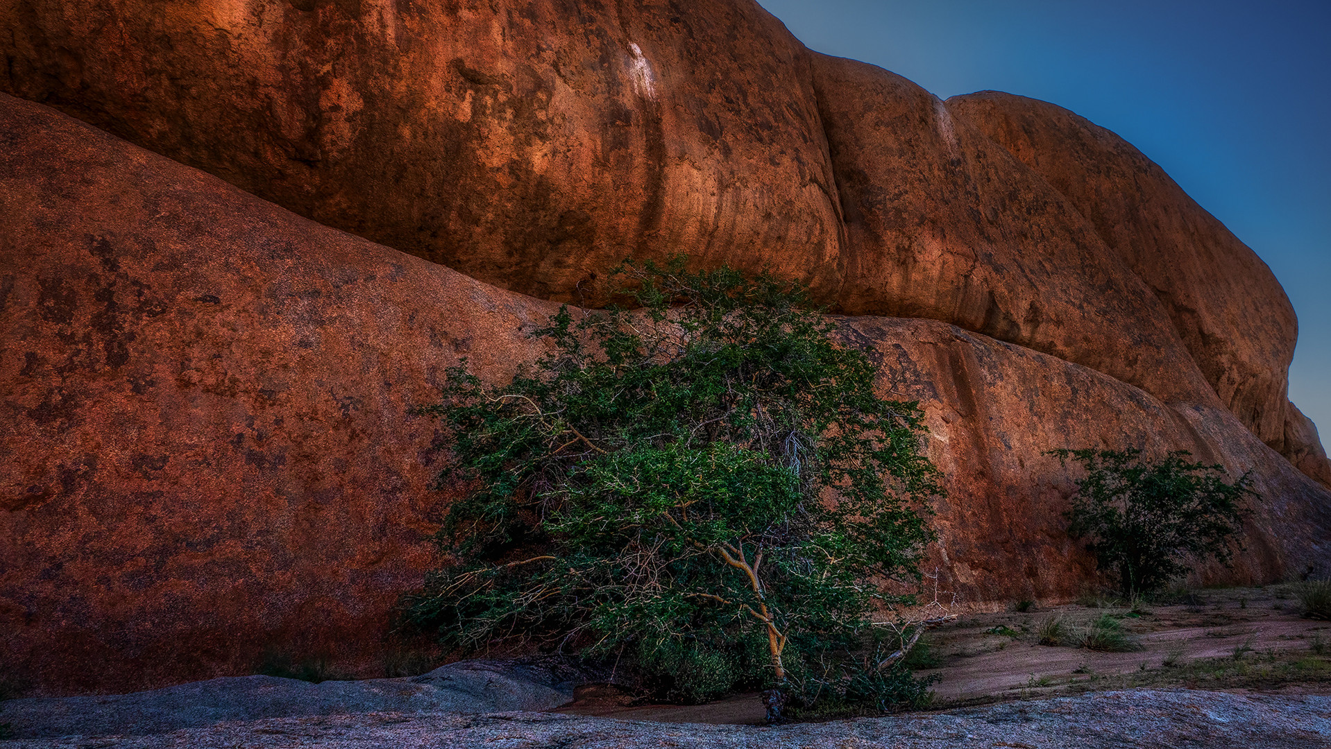 Im Reich der Spitzkoppe (38)