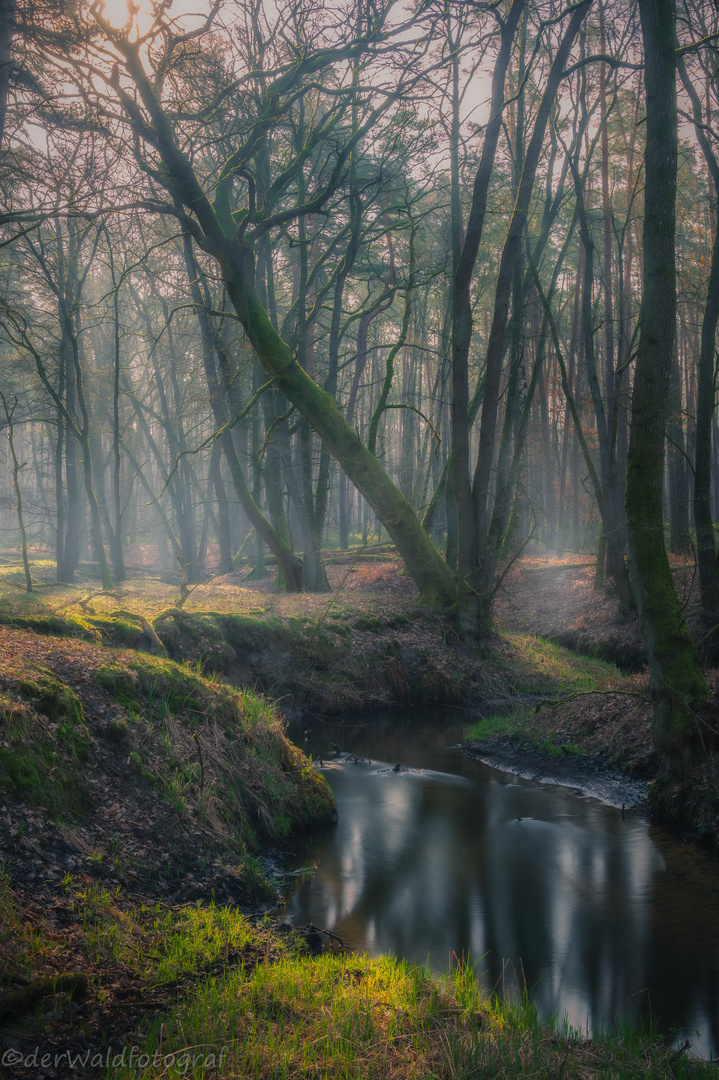 im Reich der Wasseramsel