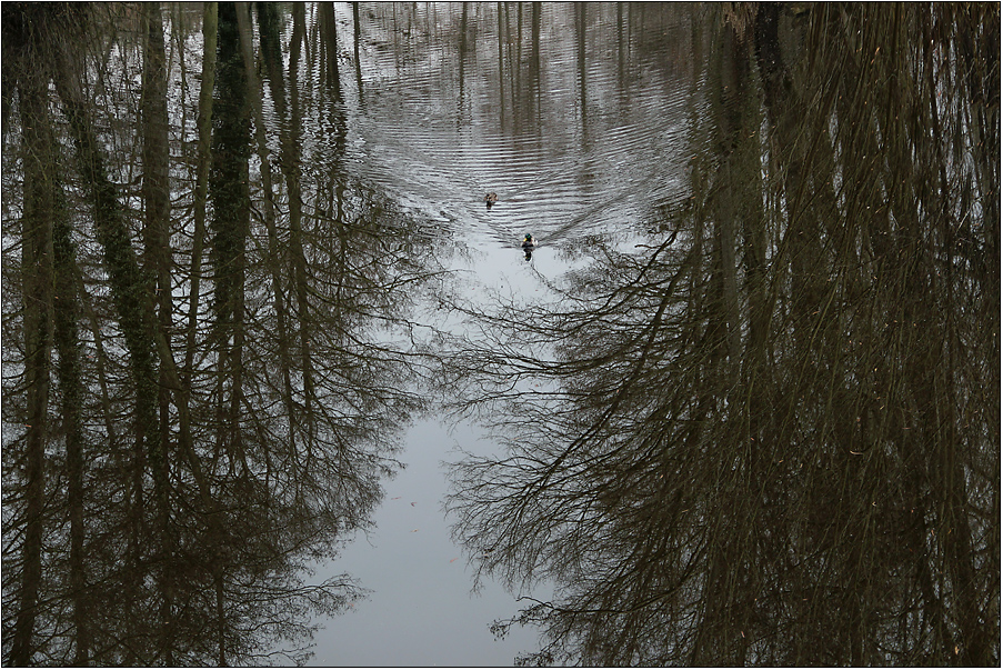 Im Reich des Eisvogels ...