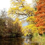 Im Reinbecker Schlossgarten