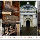 im Reinhold Forster Erbstollen