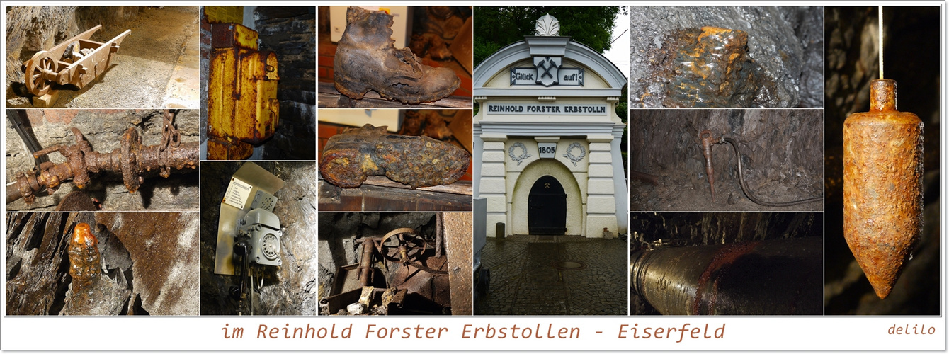 im Reinhold Forster Erbstollen