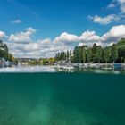 Im Rhein bei Schaffhausen