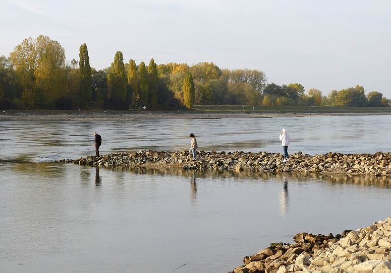 im Rhein spazieren...