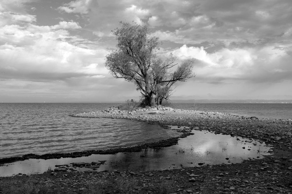 Im Rheindelta Foto & Bild fotos, wasser, licht Bilder auf